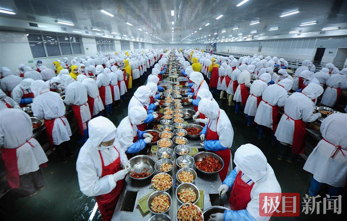 “一红一绿”撬动富路 潜江两只虾的战略密码