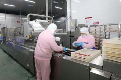 诸城预制菜 以鲜虾领衔，站上健康食品产业“C”位