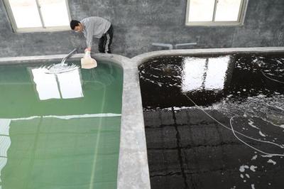 渤海1号助力滨州对虾从外购到自主培育，鲁北最大水产基地加速成型